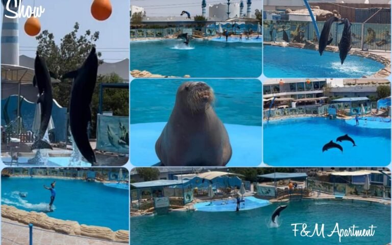 Delfini show