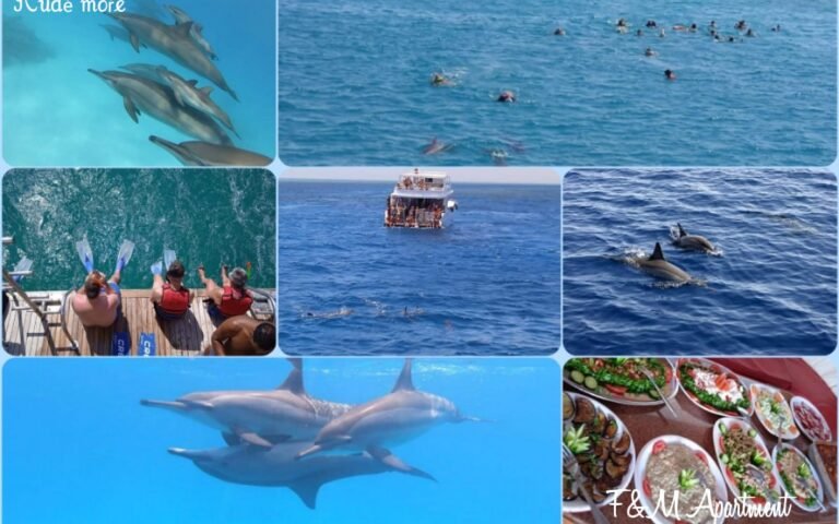 Dolphin haus (snorchlovani s delfiny na volném moři)